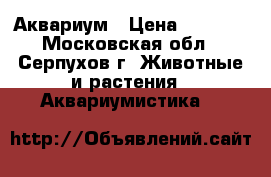 Аквариум › Цена ­ 4 000 - Московская обл., Серпухов г. Животные и растения » Аквариумистика   